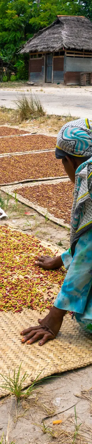 Entspannter Abschluss deiner Tansania-Safari auf Pemba